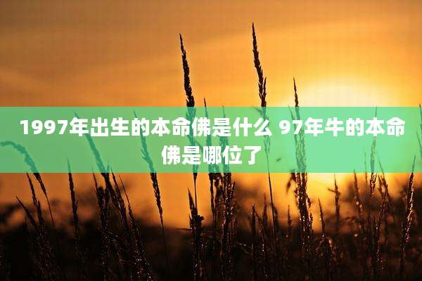 1997年出生的本命佛是什么 97年牛的本命佛是哪位了