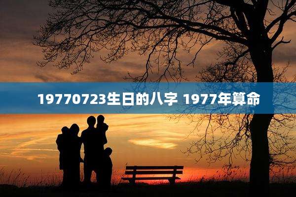 19770723生日的八字 1977年算命