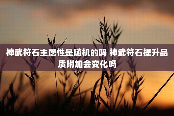 神武符石主属性是随机的吗 神武符石提升品质附加会变化吗