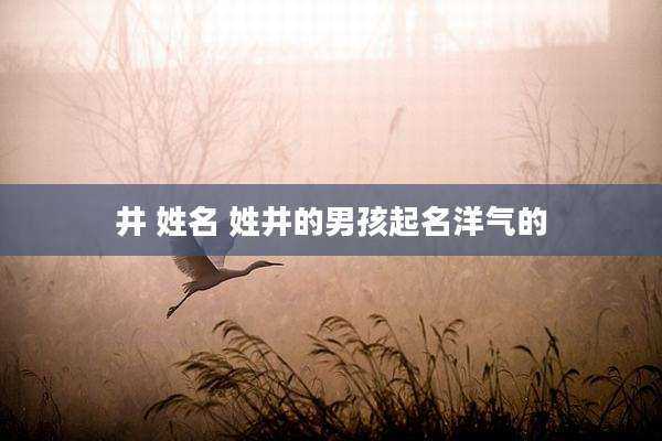 井 姓名 姓井的男孩起名洋气的