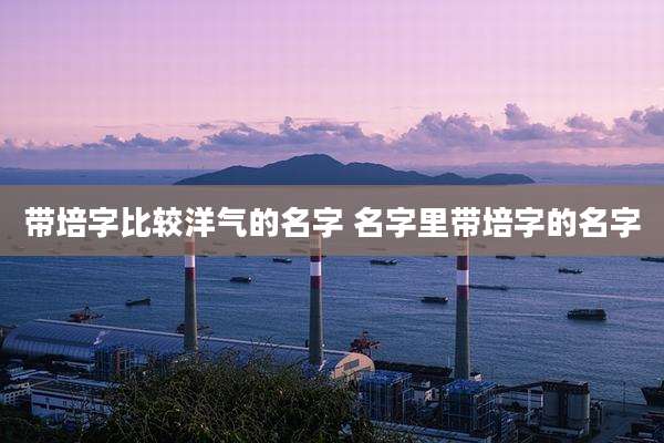 带培字比较洋气的名字 名字里带培字的名字