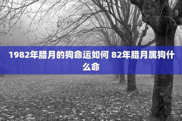 1982年腊月的狗命运如何 82年腊月属狗什么命