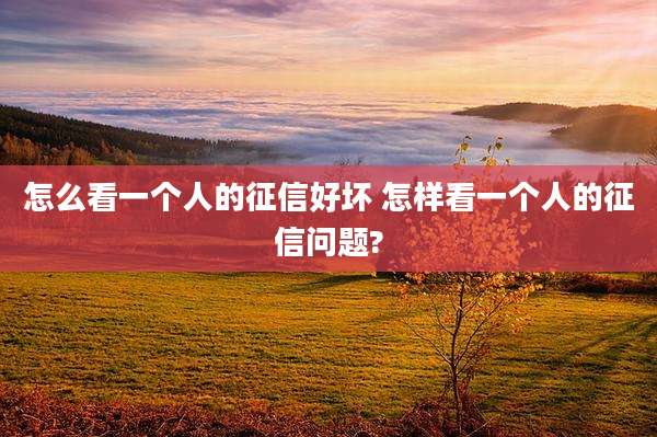 怎么看一个人的征信好坏 怎样看一个人的征信问题?