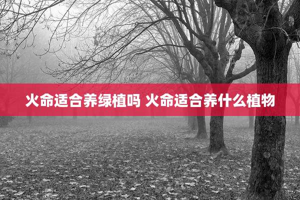 火命适合养绿植吗 火命适合养什么植物