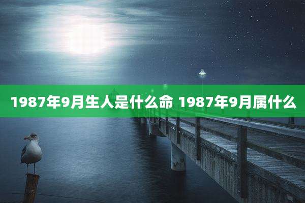 1987年9月生人是什么命 1987年9月属什么