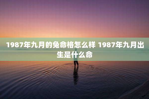 1987年九月的兔命格怎么样 1987年九月出生是什么命