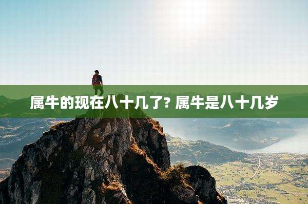 属牛的现在八十几了? 属牛是八十几岁