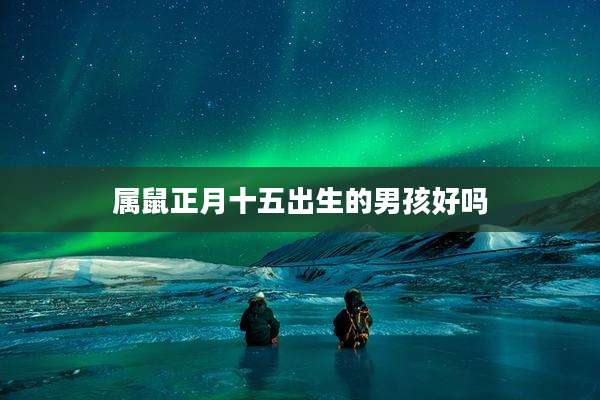 属鼠正月十五出生的男孩好吗
