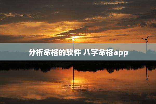 分析命格的软件 八字命格app