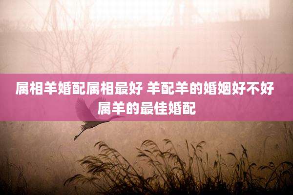属相羊婚配属相最好 羊配羊的婚姻好不好 属羊的最佳婚配