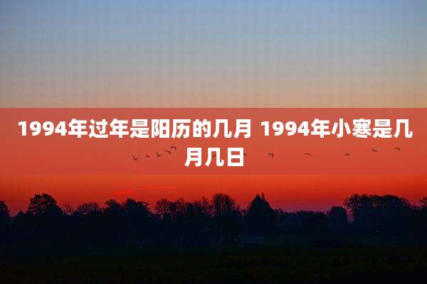 1994年过年是阳历的几月 1994年小寒是几月几日