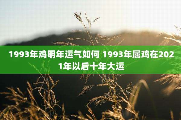 1993年鸡明年运气如何 1993年属鸡在2021年以后十年大运