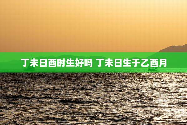 丁未日酉时生好吗 丁未日生于乙酉月