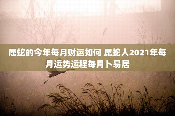 属蛇的今年每月财运如何 属蛇人2021年每月运势运程每月卜易居