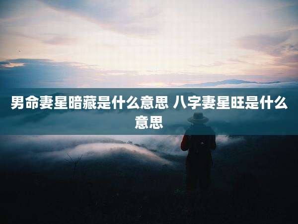 男命妻星暗藏是什么意思 八字妻星旺是什么意思