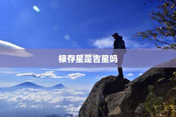 禄存星是吉星吗