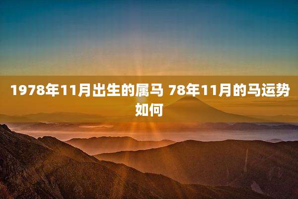 1978年11月出生的属马 78年11月的马运势如何