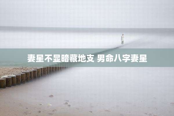 妻星不显暗藏地支 男命八字妻星