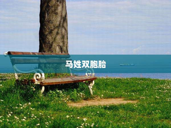 马姓双胞胎