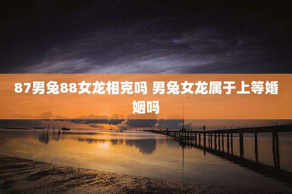 87男兔88女龙相克吗 男兔女龙属于上等婚姻吗