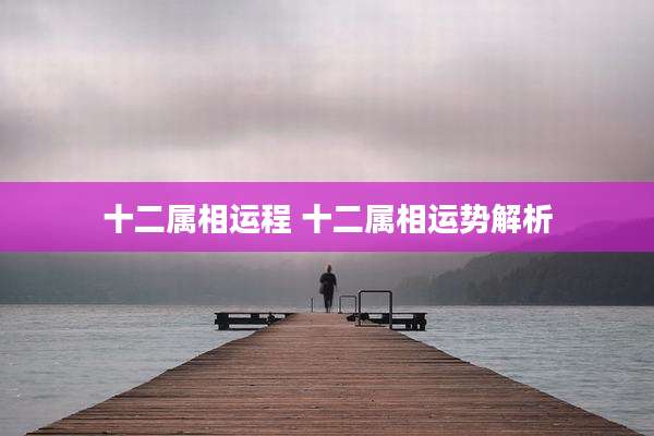 十二属相运程 十二属相运势解析