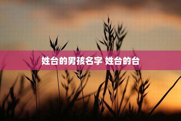 姓台的男孩名字 姓台的台