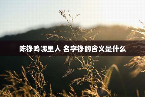 陈铮鸣哪里人 名字铮的含义是什么
