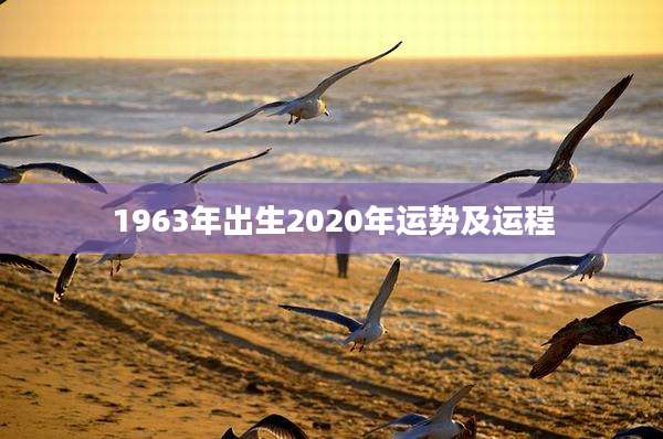 1963年出生2020年运势及运程