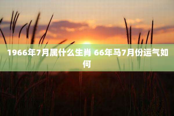 1966年7月属什么生肖 66年马7月份运气如何