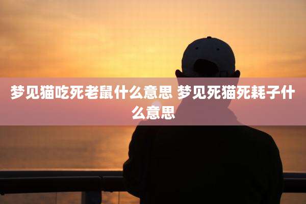 梦见猫吃死老鼠什么意思 梦见死猫死耗子什么意思