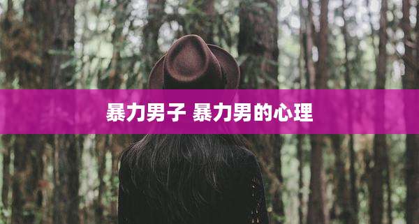 暴力男子 暴力男的心理