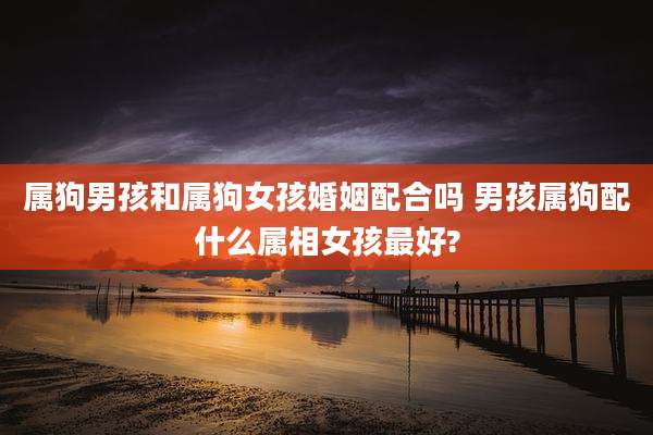 属狗男孩和属狗女孩婚姻配合吗 男孩属狗配什么属相女孩最好?