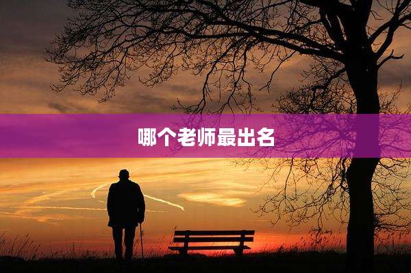 哪个老师最出名
