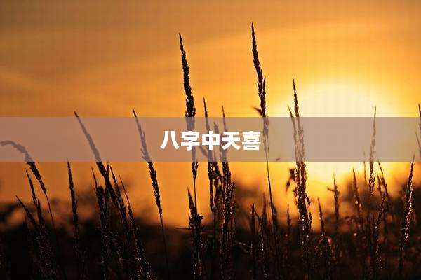 八字中天喜