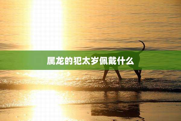 属龙的犯太岁佩戴什么