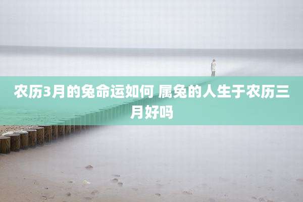 农历3月的兔命运如何 属兔的人生于农历三月好吗