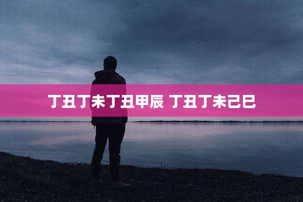 丁丑丁未丁丑甲辰 丁丑丁未己巳
