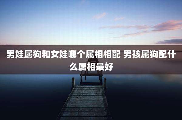 男娃属狗和女娃哪个属相相配 男孩属狗配什么属相最好