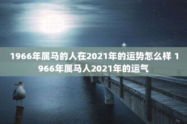 1966年属马的人在2021年的运势怎么样 1966年属马人2021年的运气