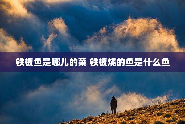 铁板鱼是哪儿的菜 铁板烧的鱼是什么鱼