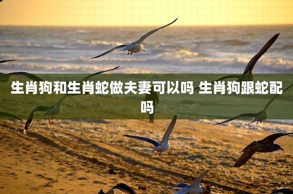 生肖狗和生肖蛇做夫妻可以吗 生肖狗跟蛇配吗