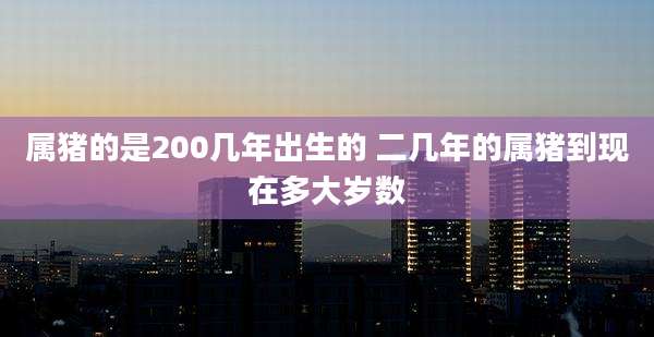 属猪的是200几年出生的 二几年的属猪到现在多大岁数