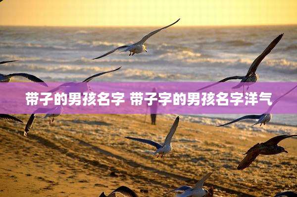 带孑的男孩名字 带子字的男孩名字洋气