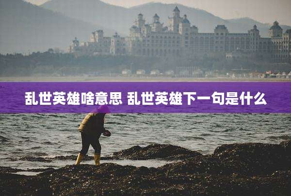 乱世英雄啥意思 乱世英雄下一句是什么