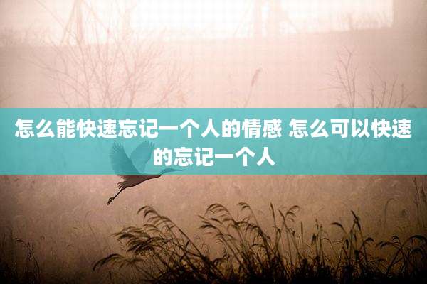 怎么能快速忘记一个人的情感 怎么可以快速的忘记一个人