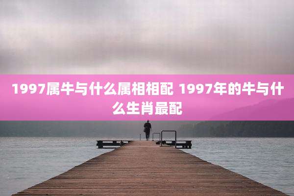 1997属牛与什么属相相配 1997年的牛与什么生肖最配