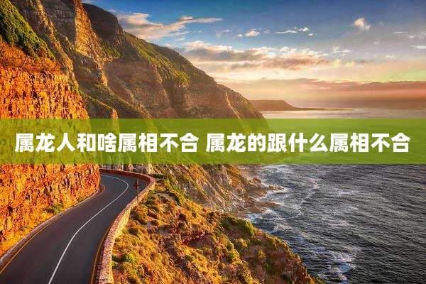 属龙人和啥属相不合 属龙的跟什么属相不合