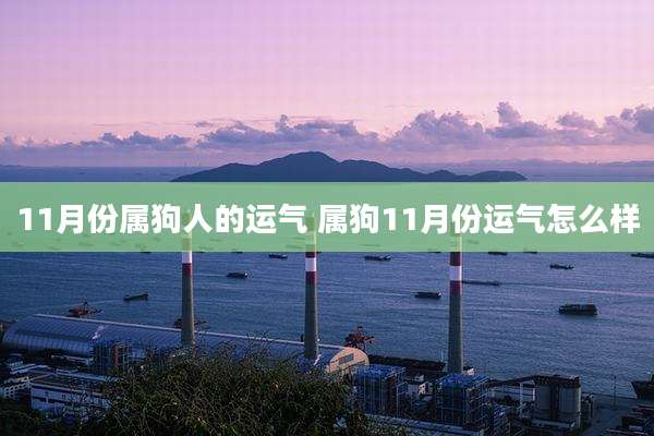 11月份属狗人的运气 属狗11月份运气怎么样