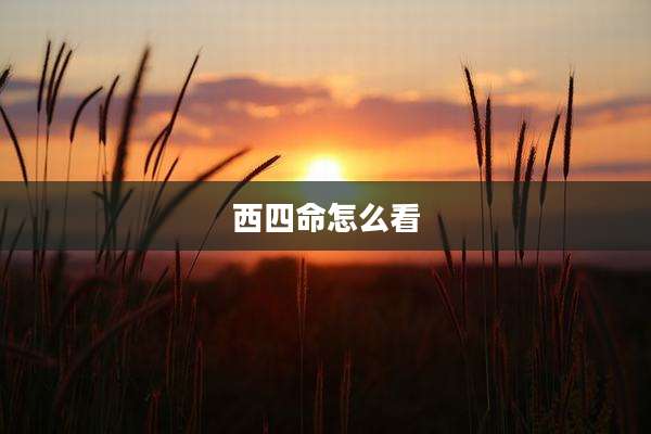 西四命怎么看