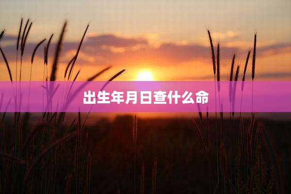 出生年月日查什么命